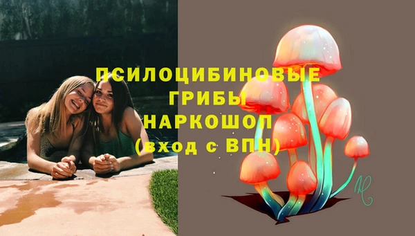 экстази Алексеевка