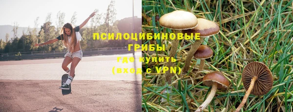 герыч Алзамай