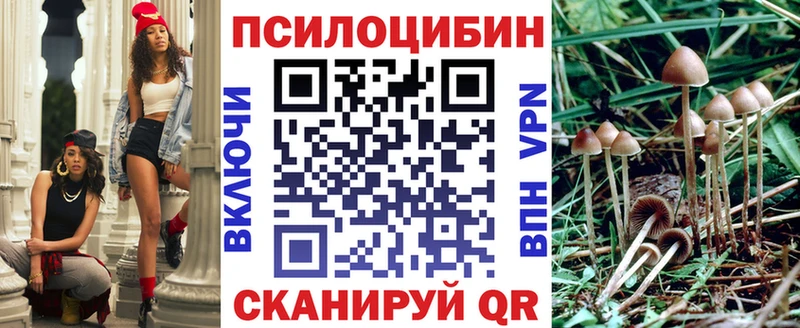 Псилоцибиновые грибы Cubensis  Советский 